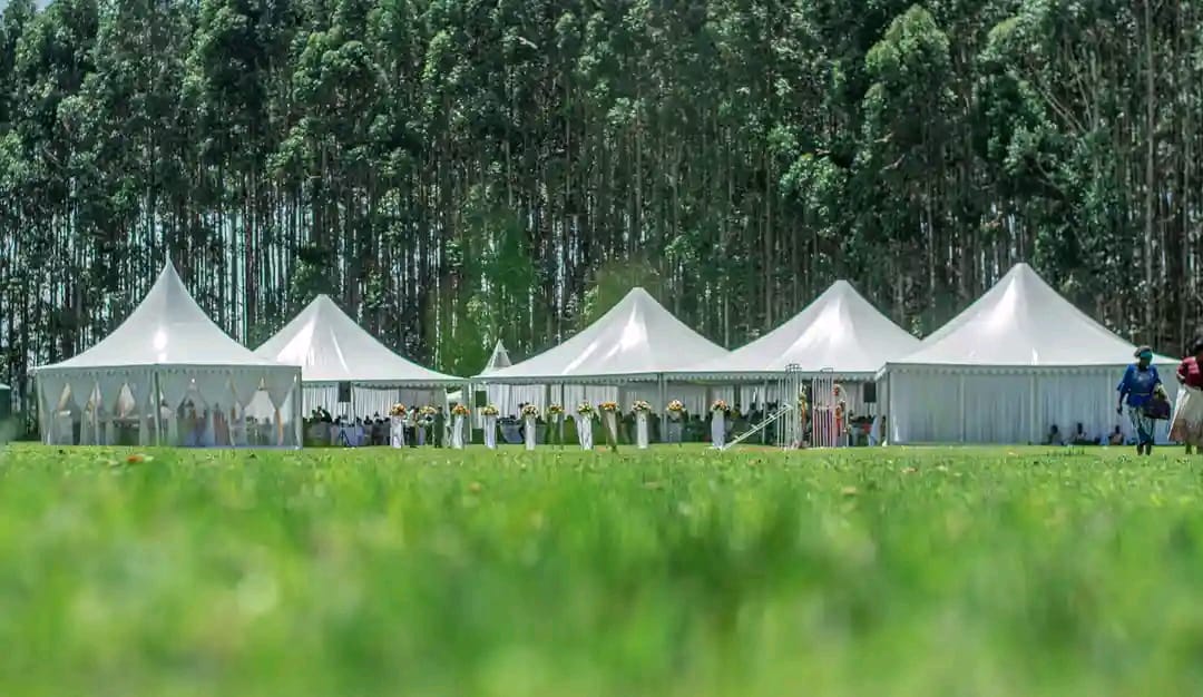 B-Line Tent