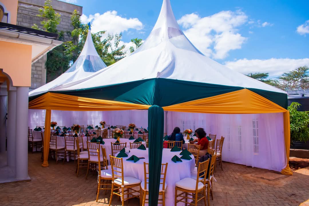 Birthday Party Setup