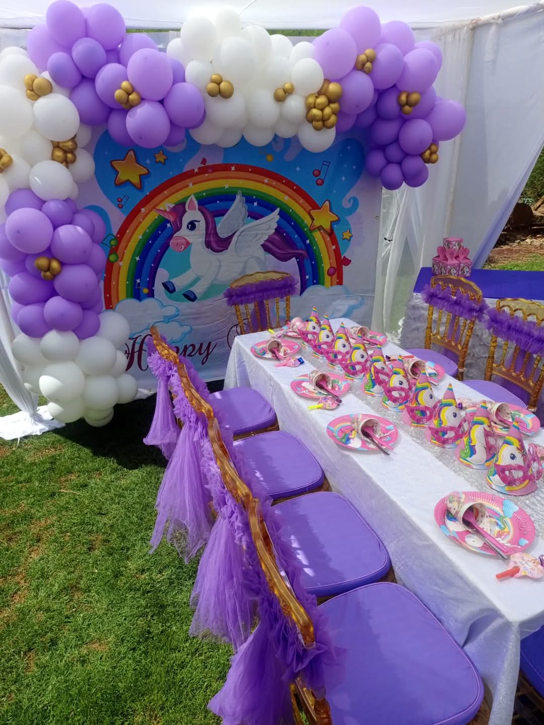 Birthday Party Setup