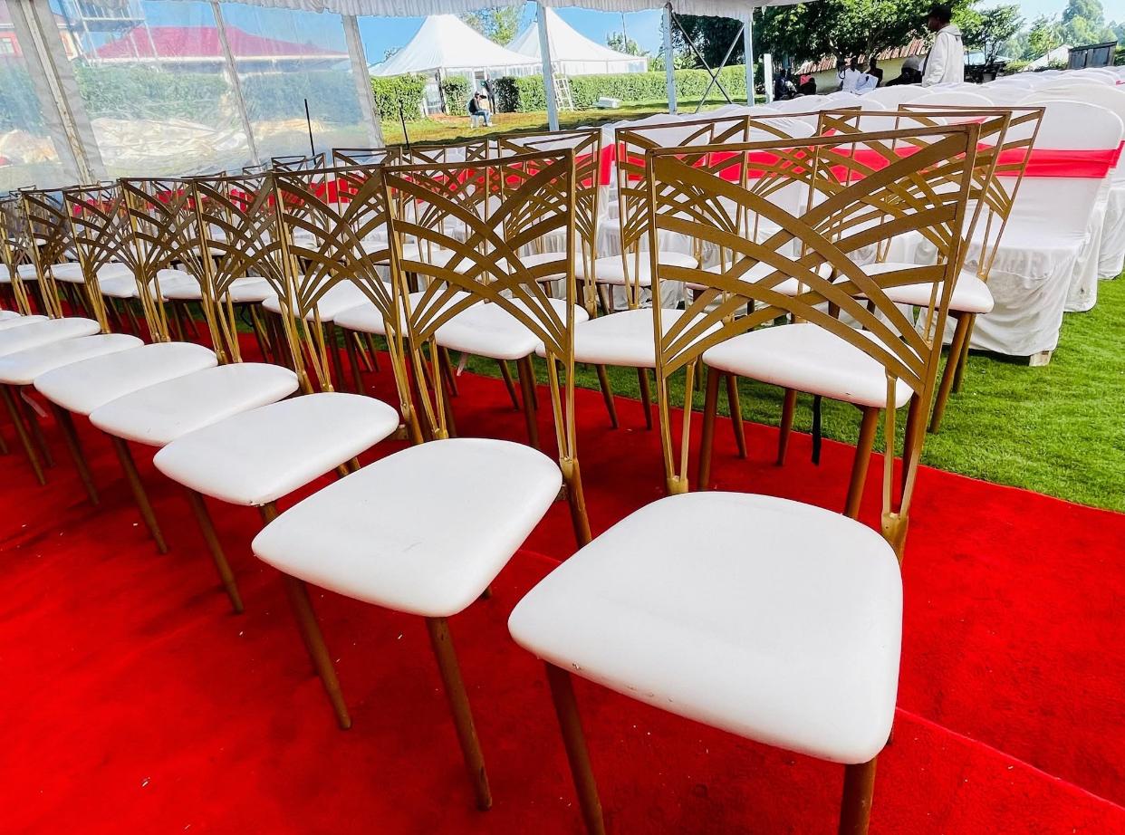 Chameleon Chair Rental
